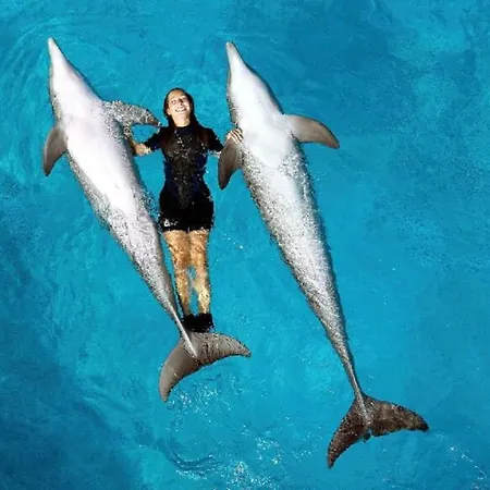 125 Oliveiras Terraces Apartmán Albufeira